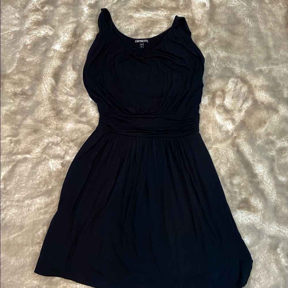 Express Women’s Lined Dress Size Small